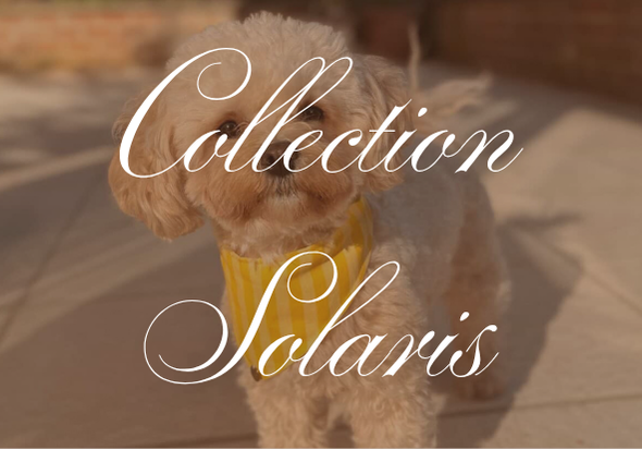 Collection Solaris