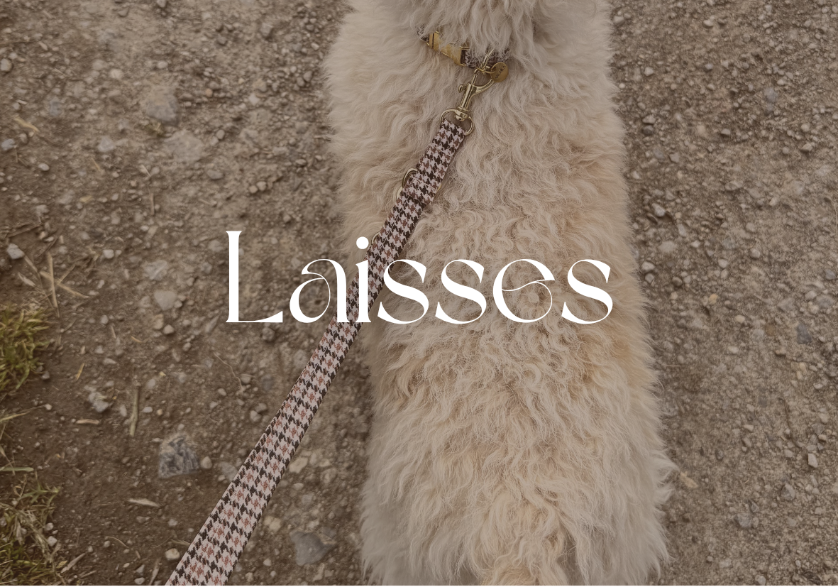 Laisses