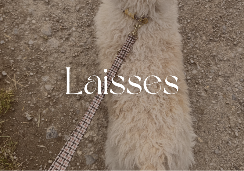 Laisses