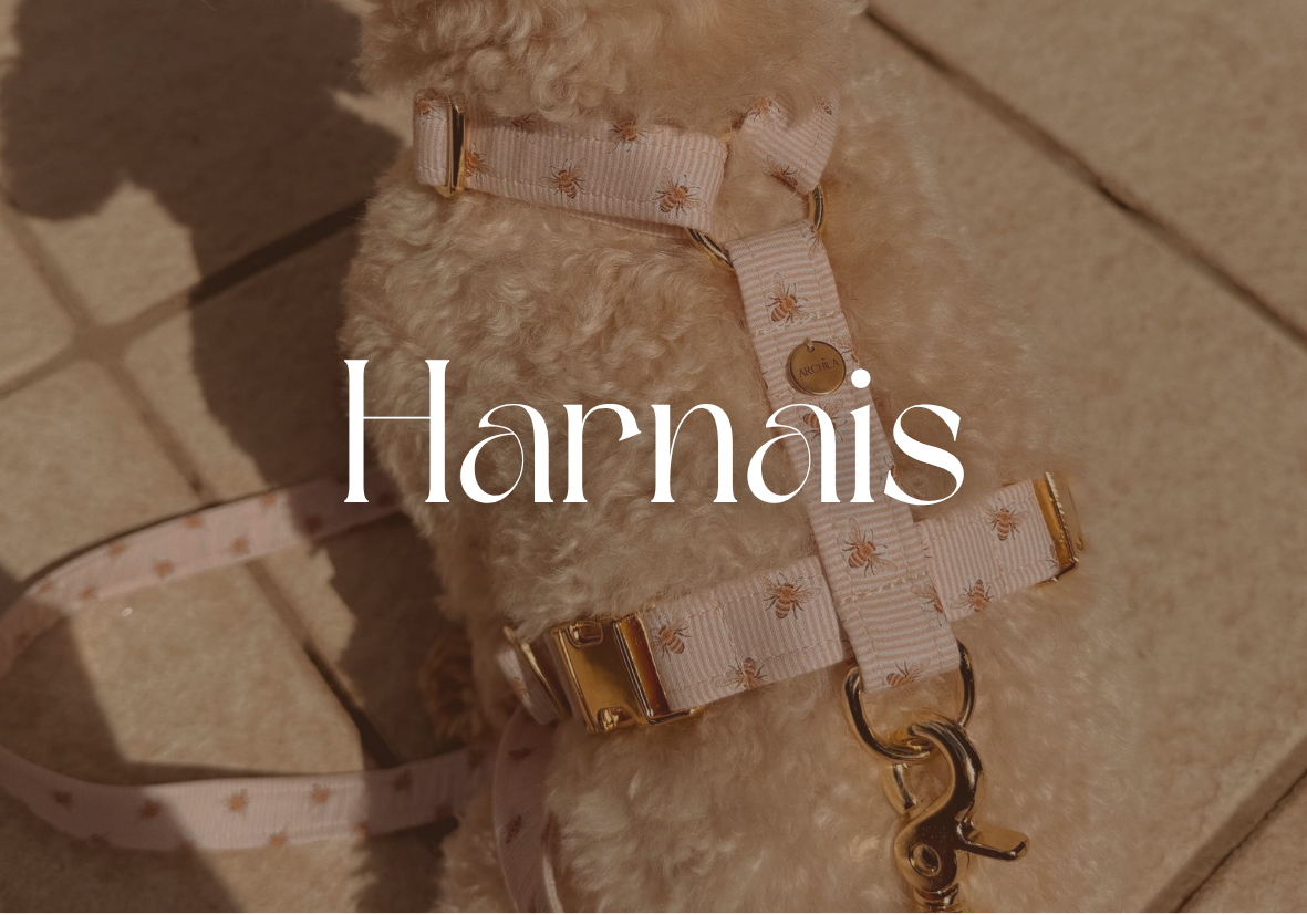 Harnais