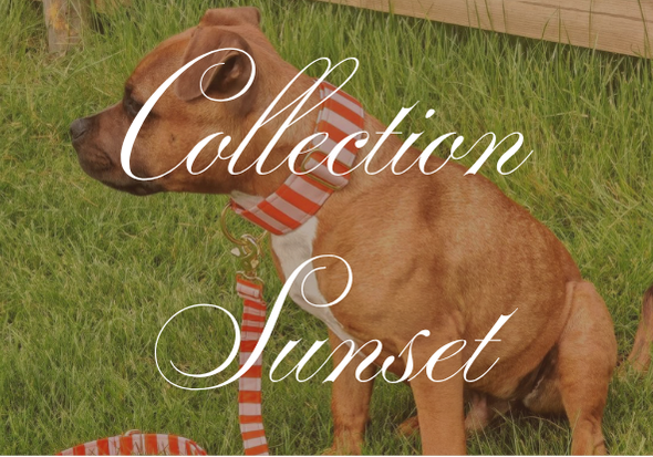 Collection Sunset