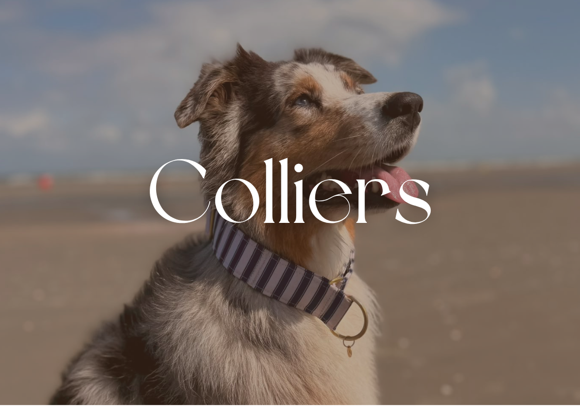 Colliers
