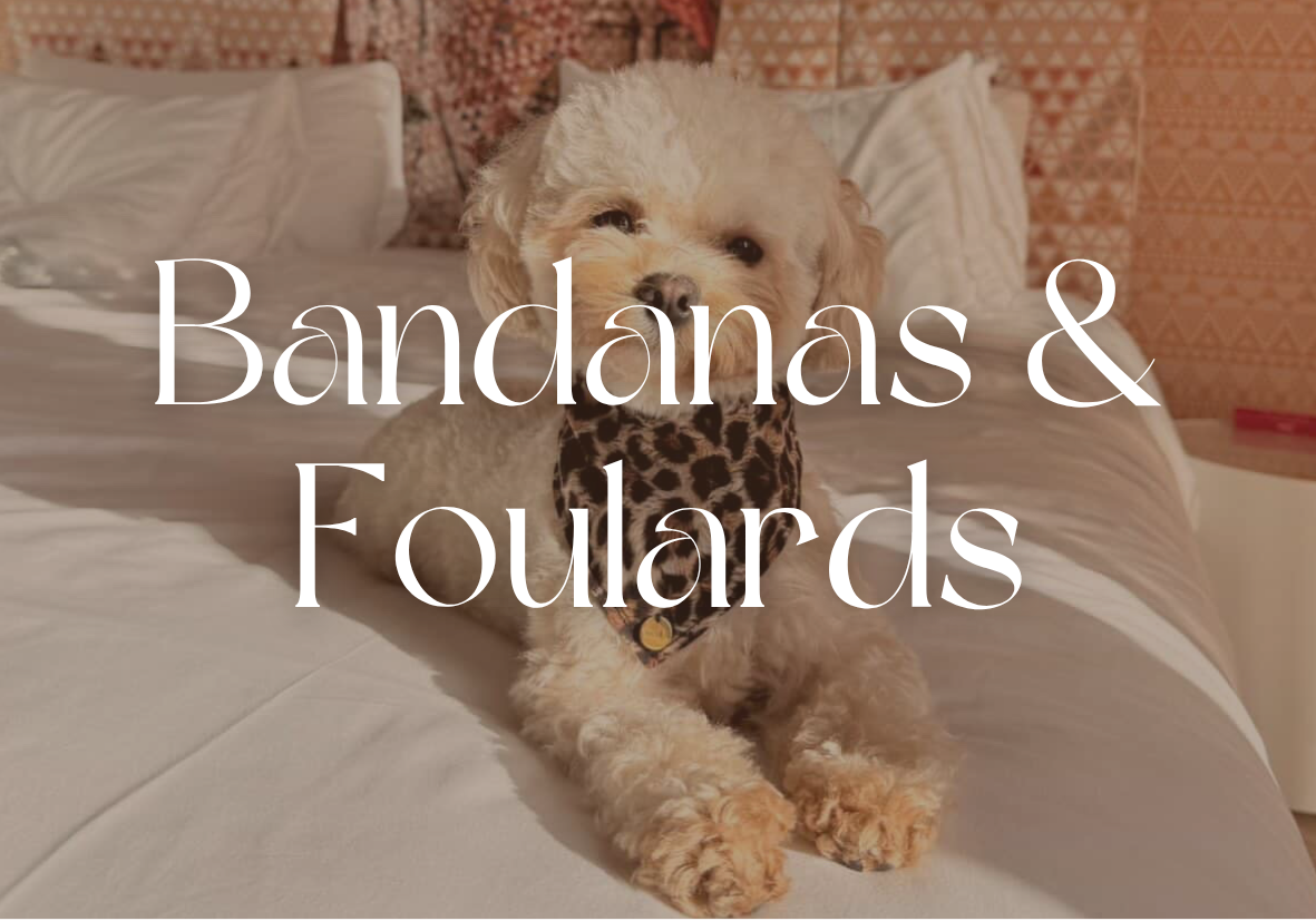 Bandanas & Foulards