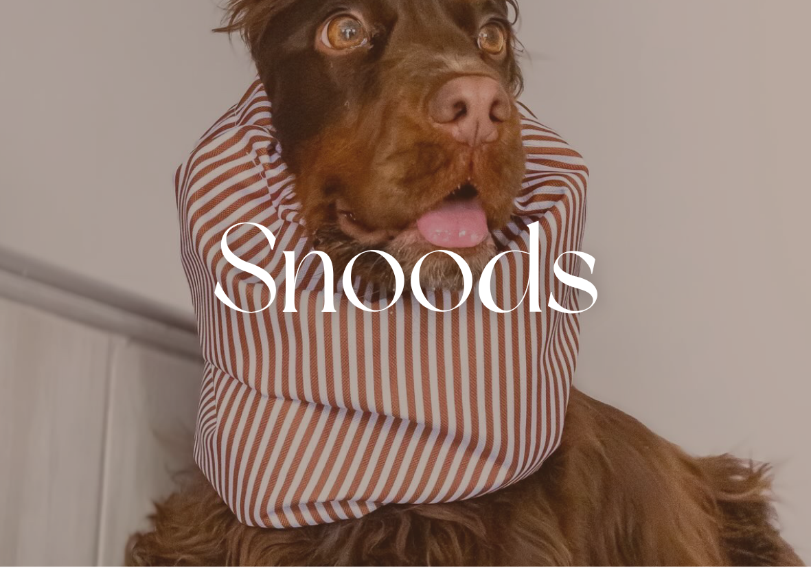 Snood