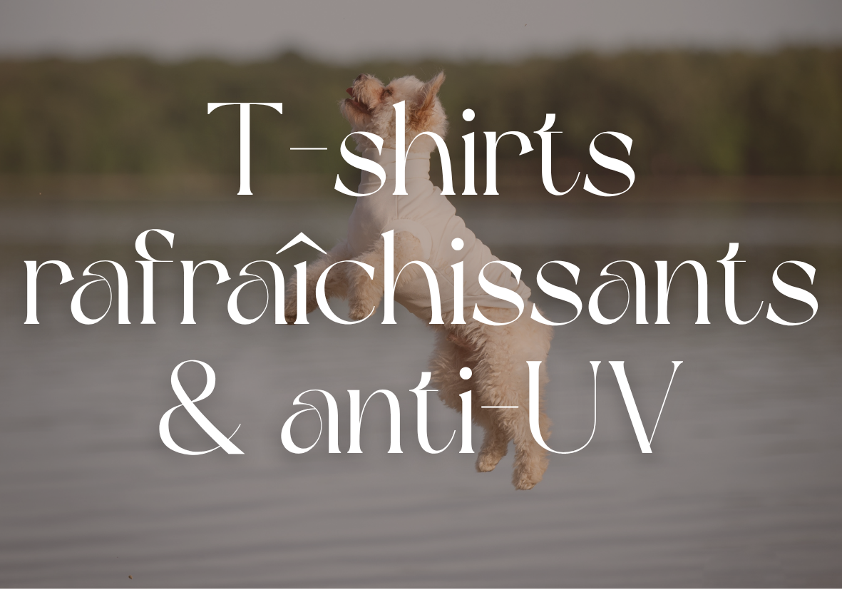 Gamme anti UV & rafraîchissant