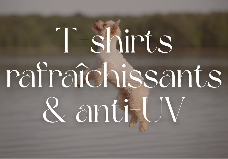Gamme anti UV & rafraîchissant