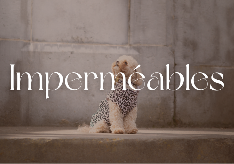 Imperméable