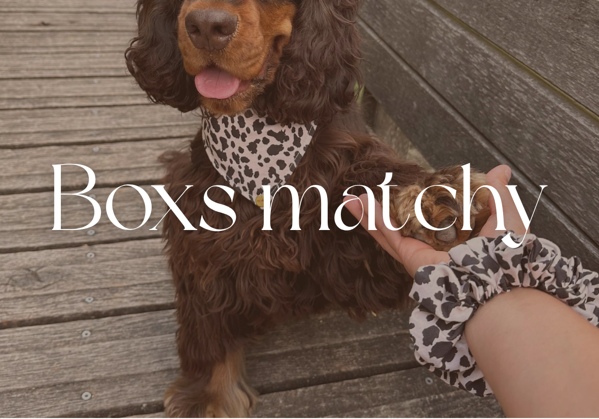 Box matchy matchy