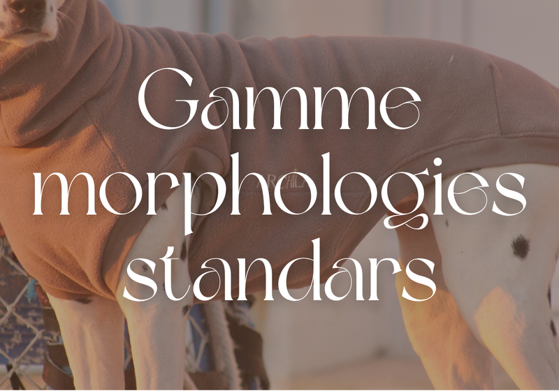 Morphologie standard