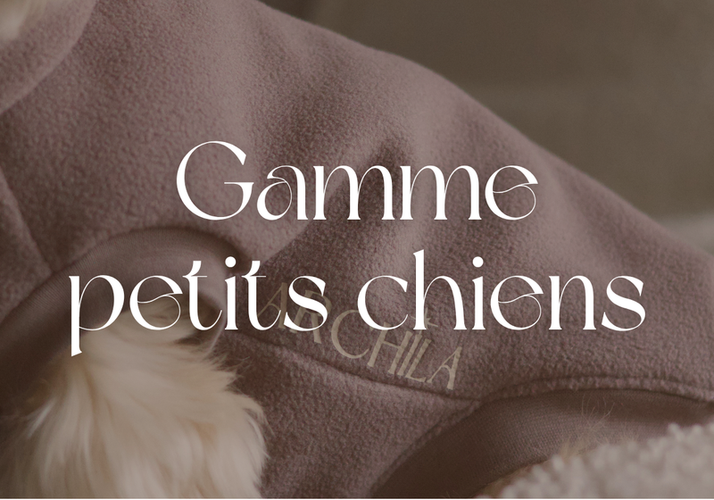 Petits chiens