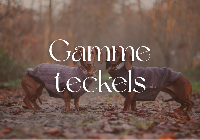 Teckels