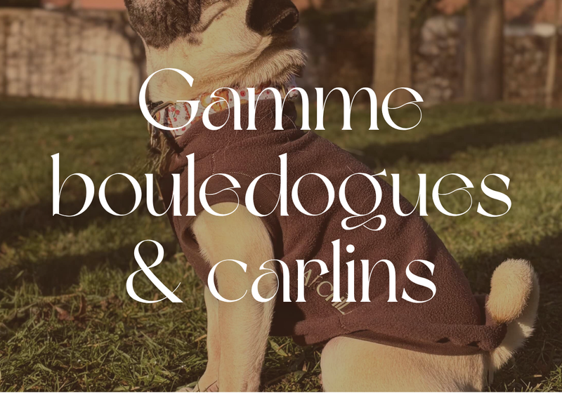 Bouledogues & carlins
