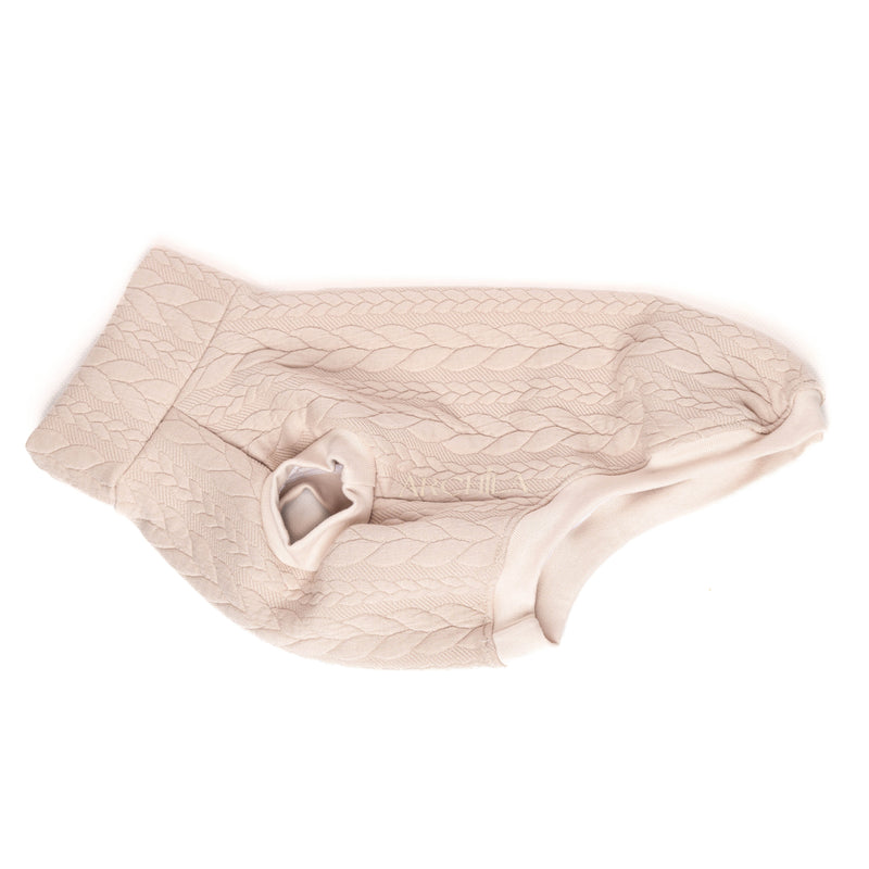 Bouledogues & carlins