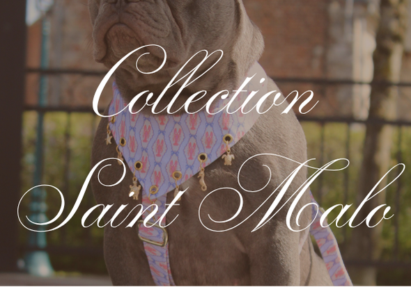 Collection Saint Malo