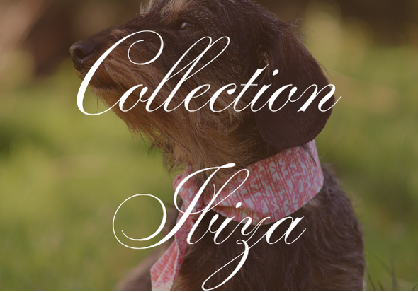 Collection Ibiza