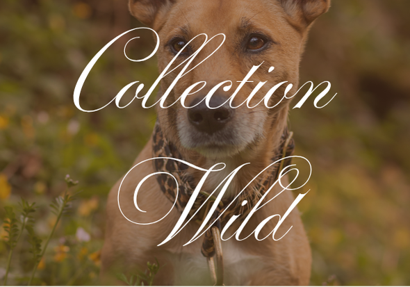 Collection Wild