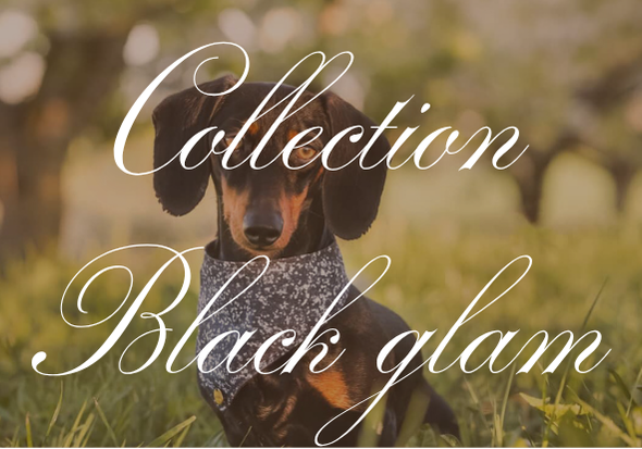Collection Black glam