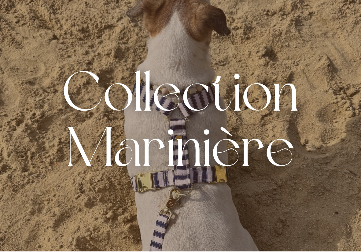 Collection Marinière