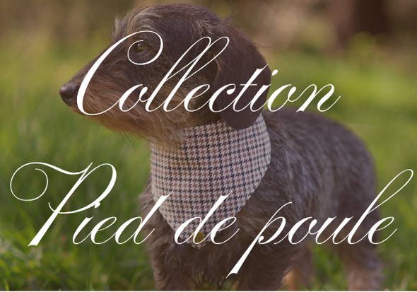 Collection Pied de poule