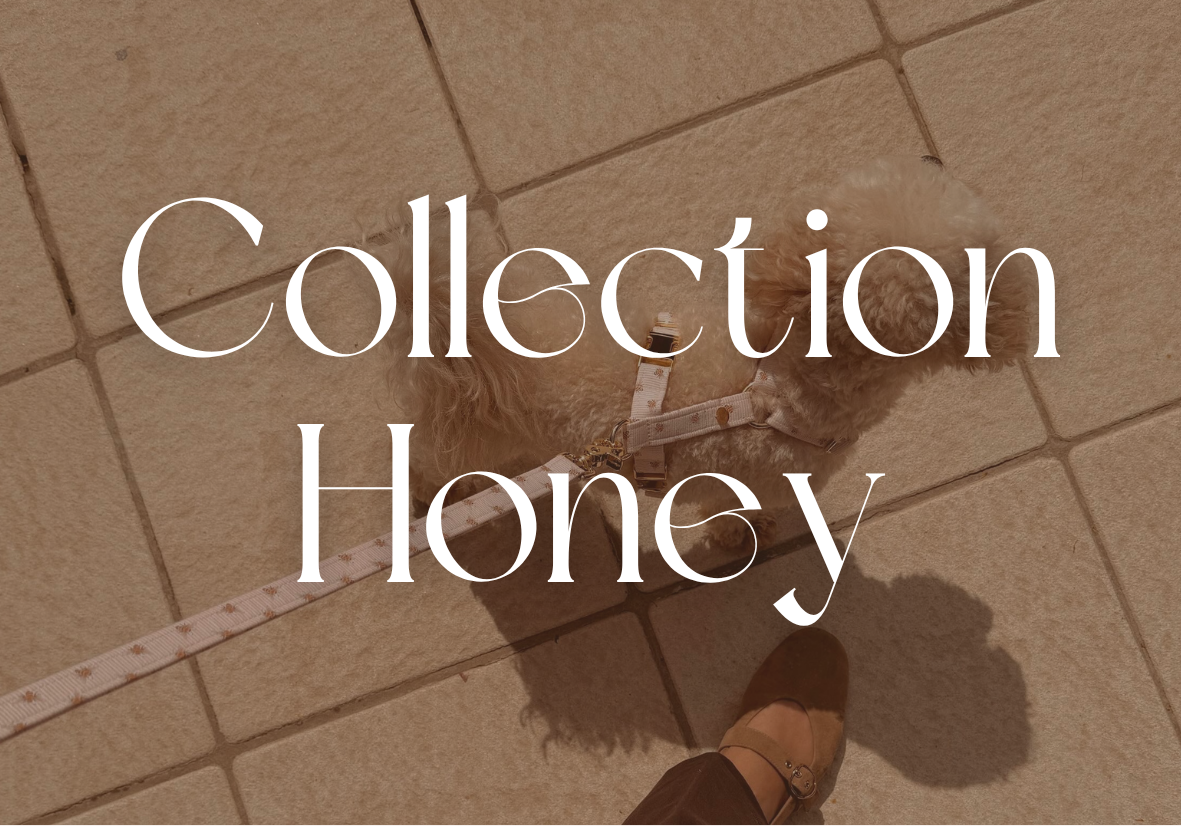 Collection Honey