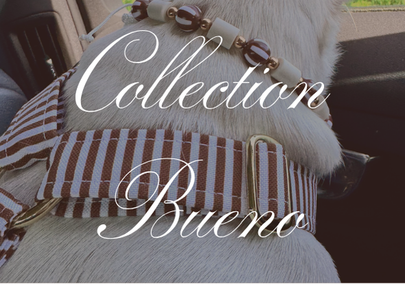 Collection Bueno