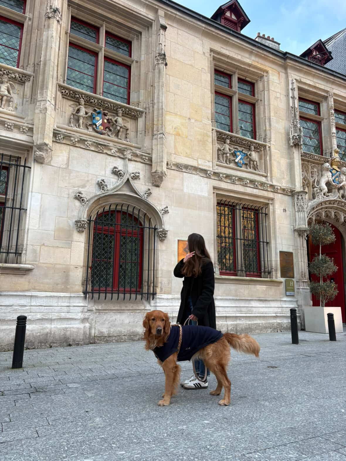SWEAT | MAILLE TRICOTÉE MARINE
