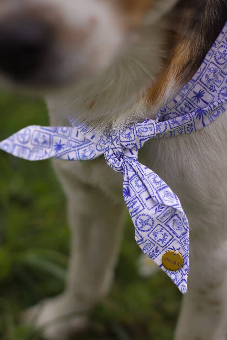 FOULARD | SANTORIN