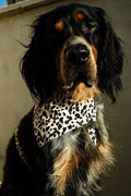 BANDANA A SCRATCH | IVORY