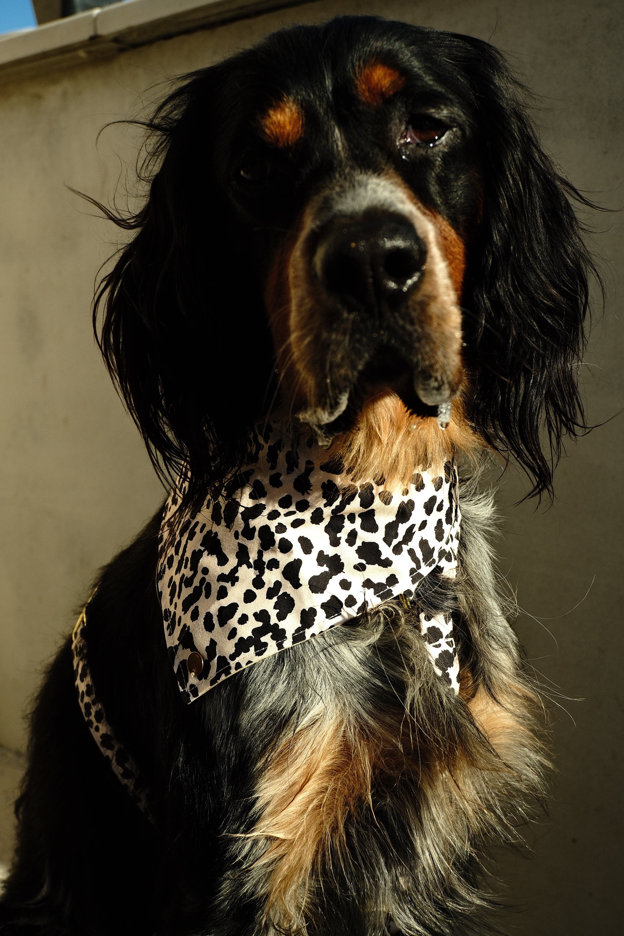 BANDANA A SCRATCH | IVORY