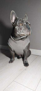 SWEAT GAMME BOULEDOGUE  & CARLIN | POLAIRE TAUPE