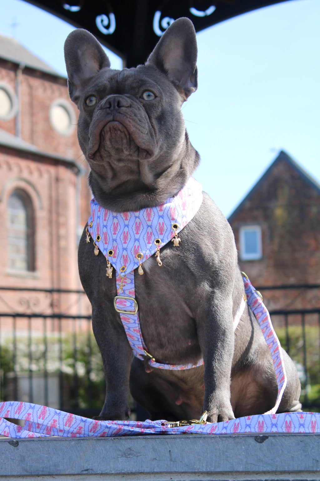 BANDANA A SCRATCH & CHARMS | SAINT MALO