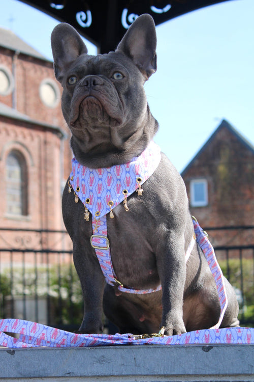 BANDANA A SCRATCH & CHARMS | SAINT MALO