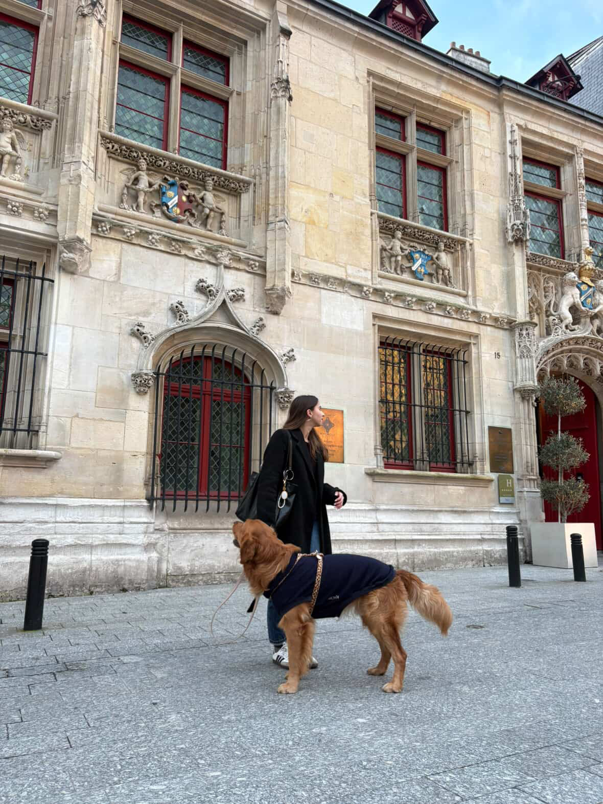 SWEAT | MAILLE TRICOTÉE MARINE
