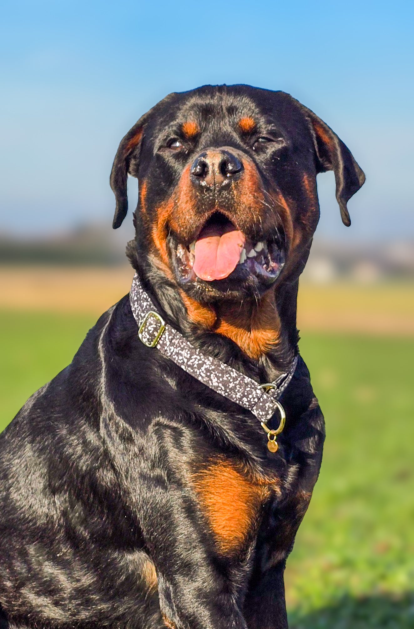 COLLIER MARTINGALE | BLACK GLAM