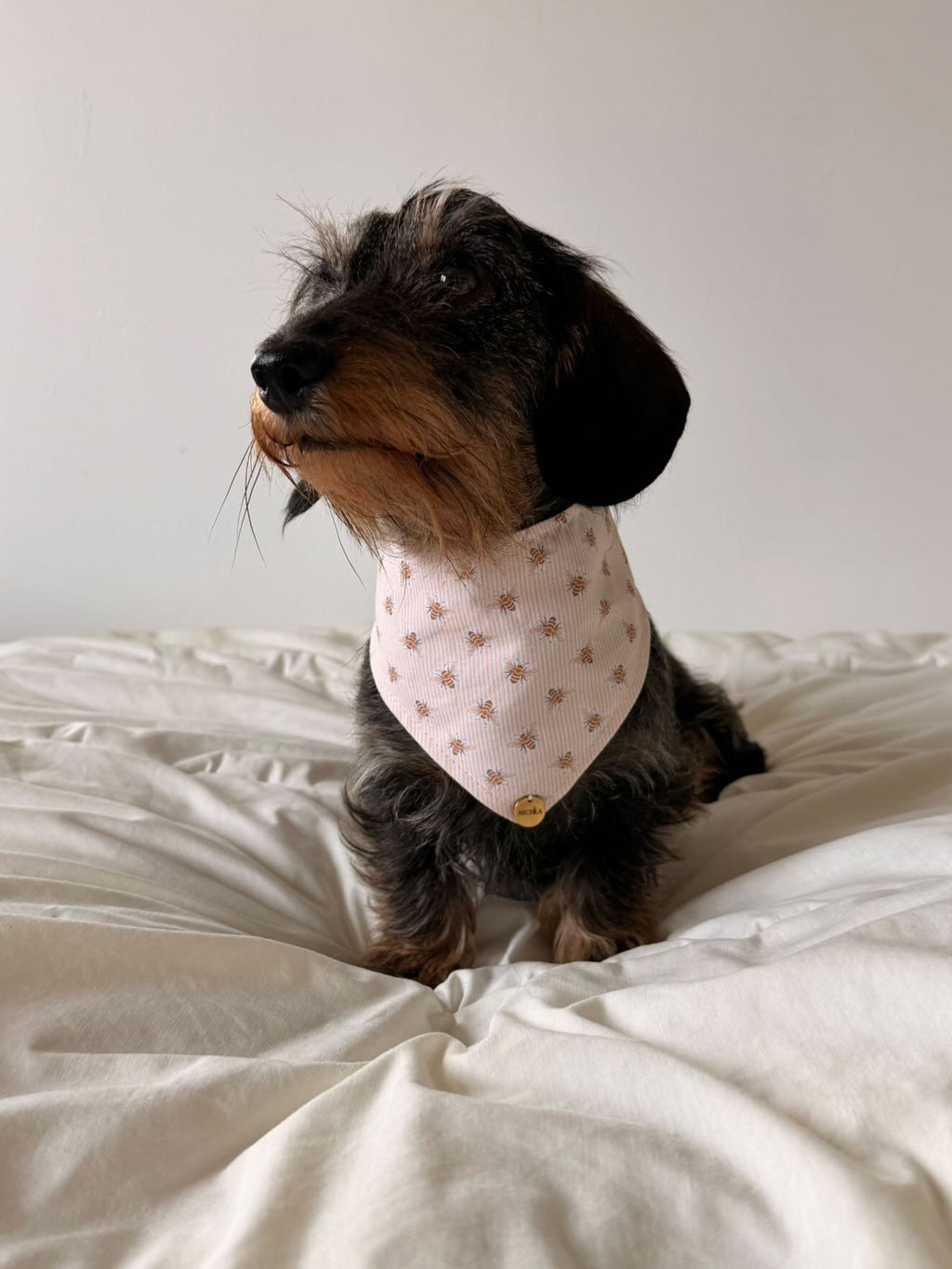 BANDANA A SCRATCH | HONEY
