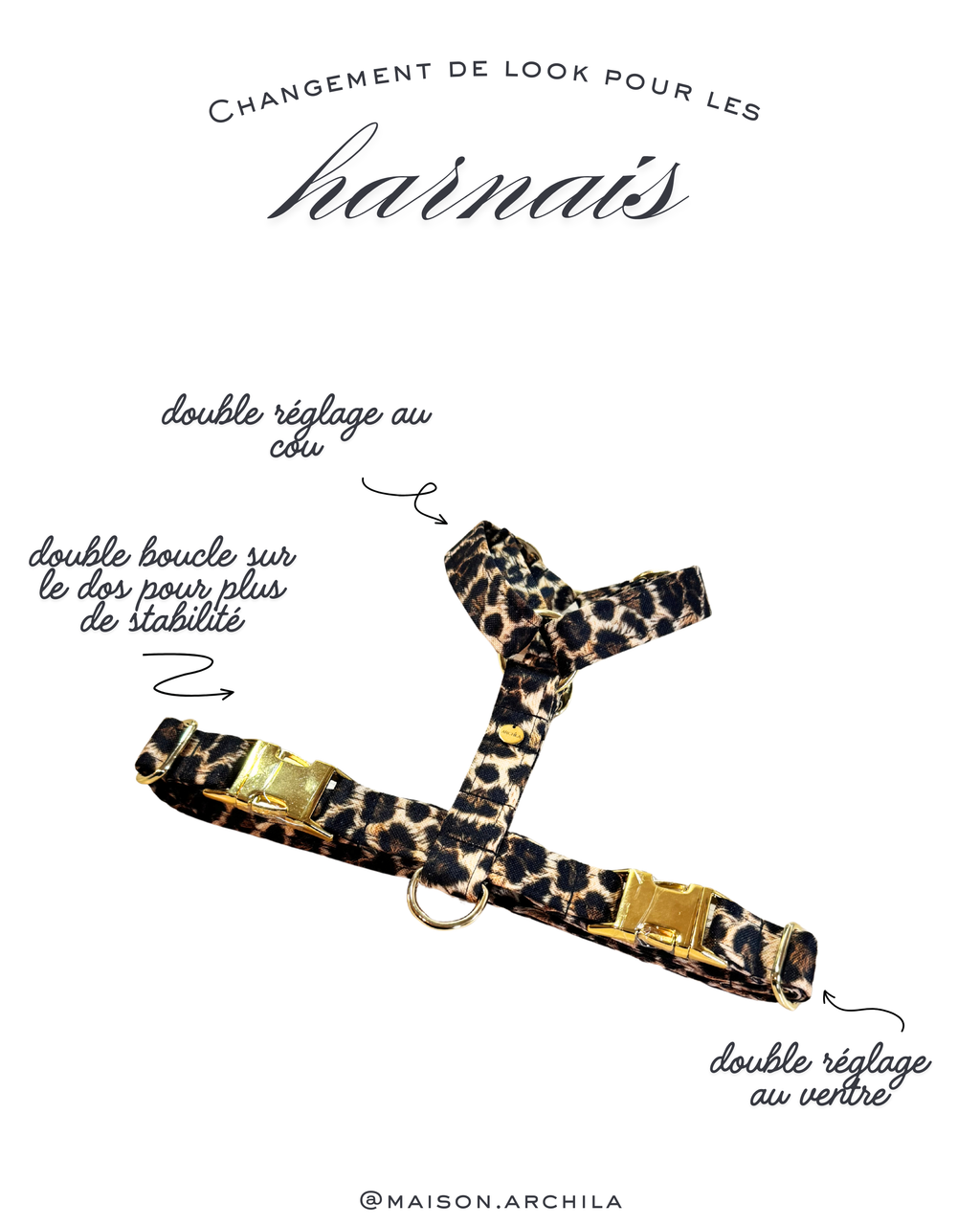 HARNAIS | WILD