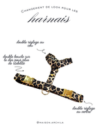 HARNAIS | WILD