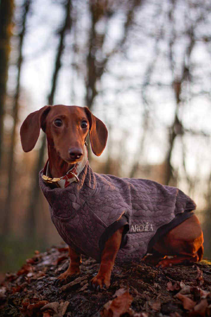 SWEAT | EFFET PULL MARRON