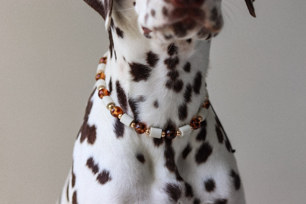 COLLIER ANTI PARASITAIRE | ECAILLE DE TORTUE
