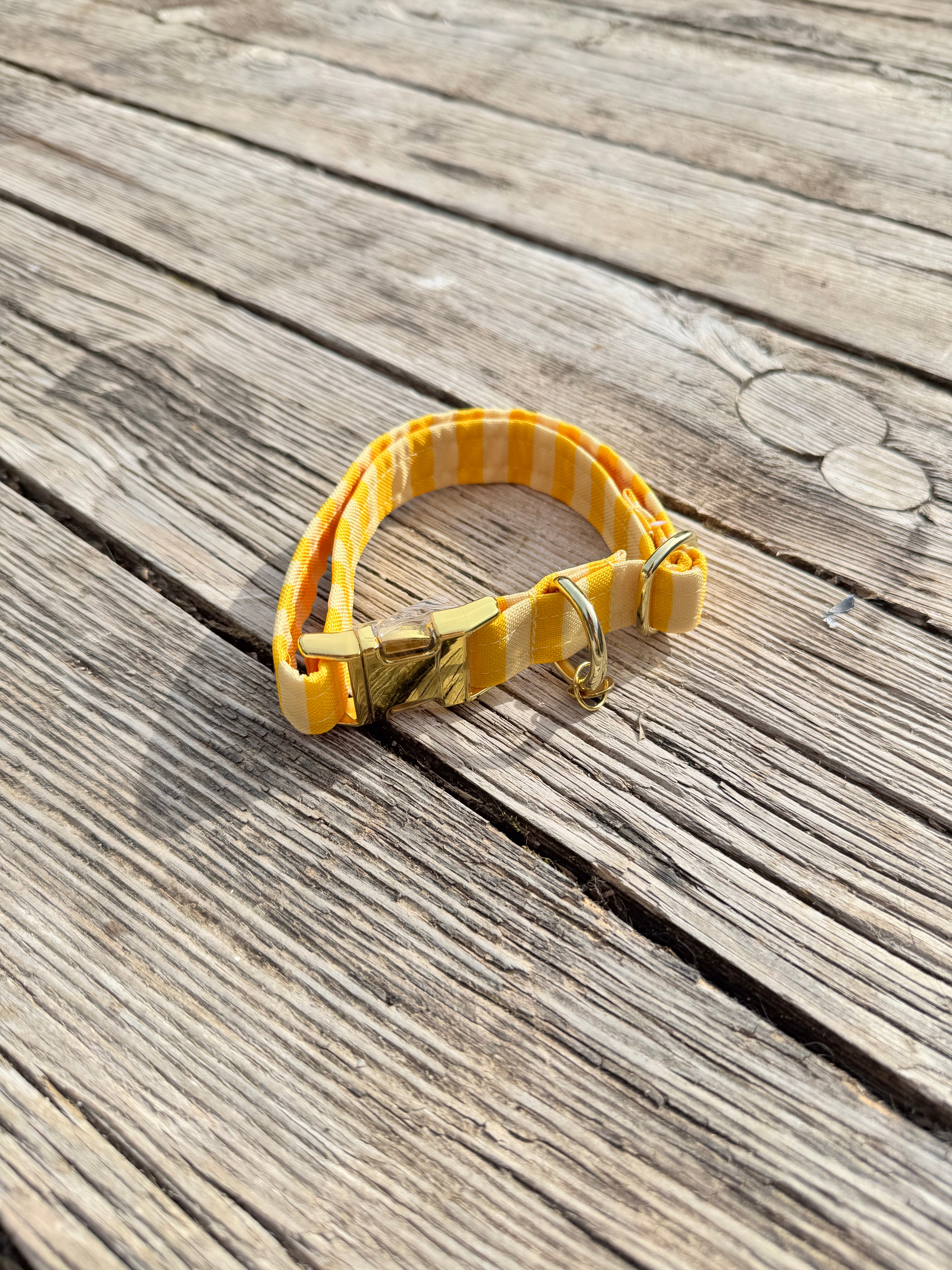 COLLIER | SOLARIS