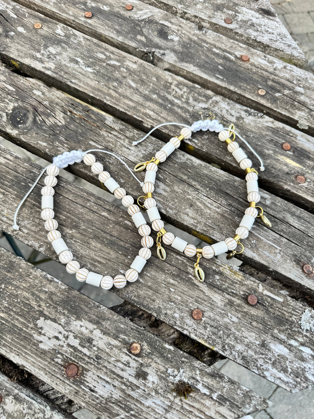 COLLIER ANTI PARASITAIRE