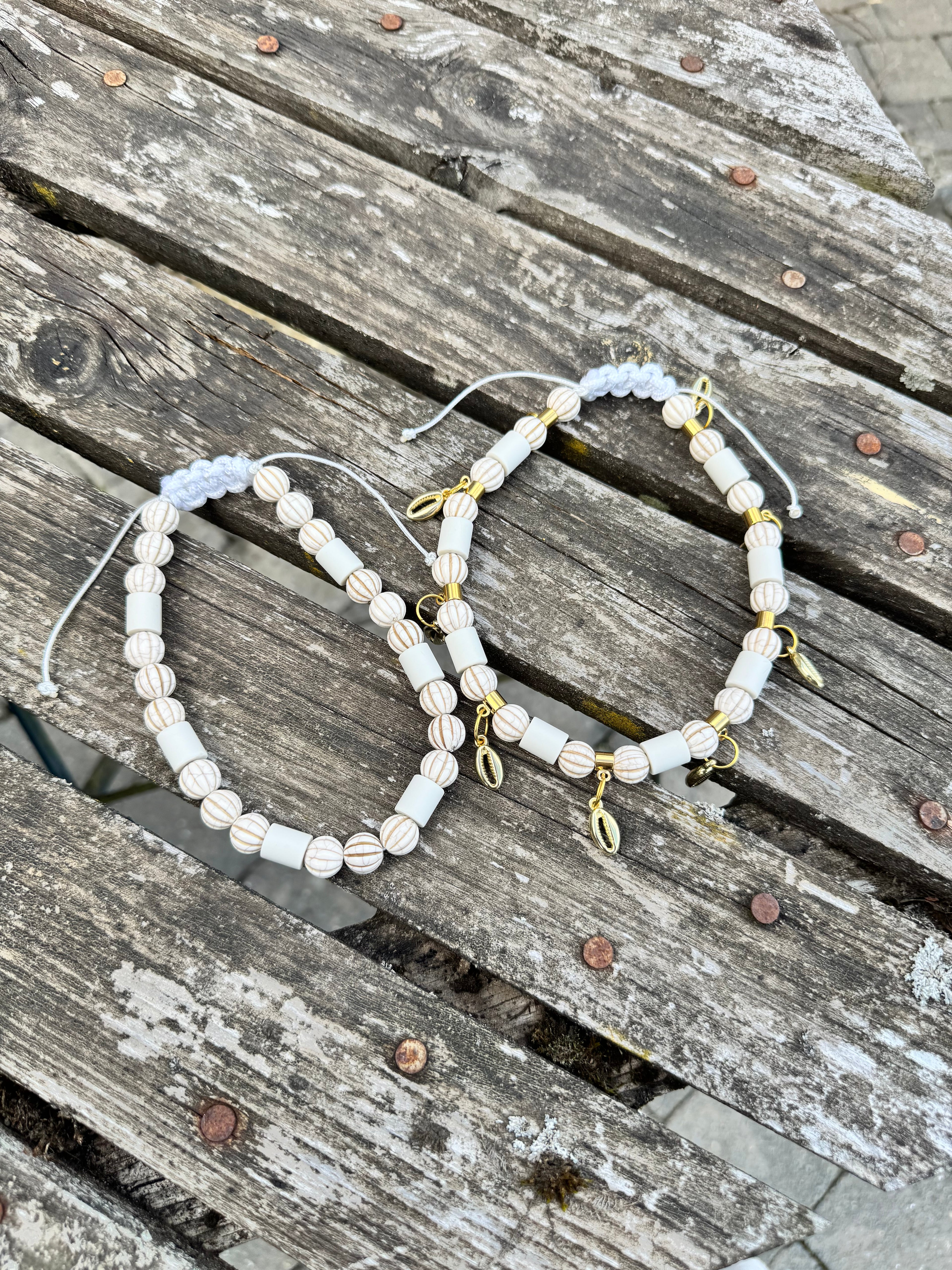 COLLIER ANTI PARASITAIRE