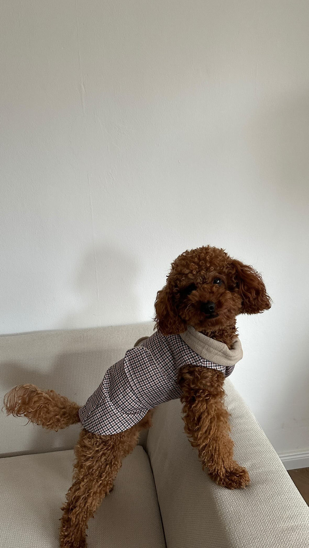 IMPERMÉABLE | PIED DE POULE