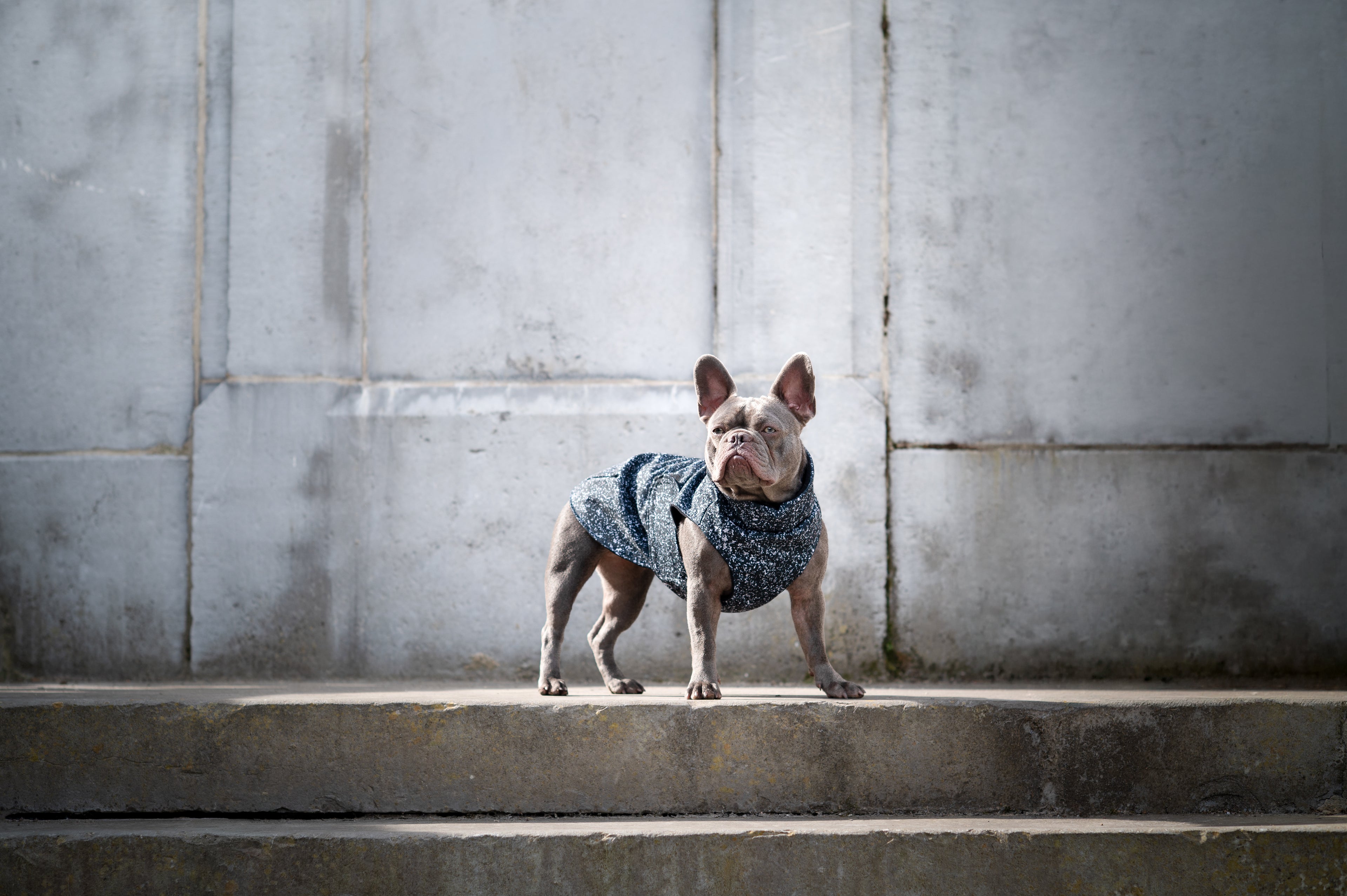 IMPERMÉABLE | BLACK GLAM