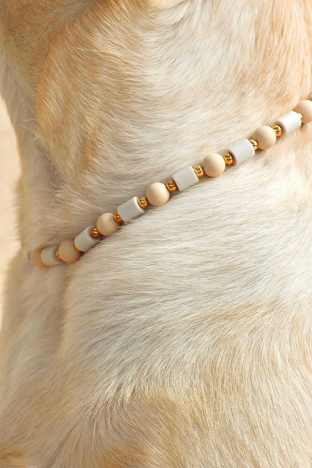 COLLIER ANTI PARASITAIRE | SAND