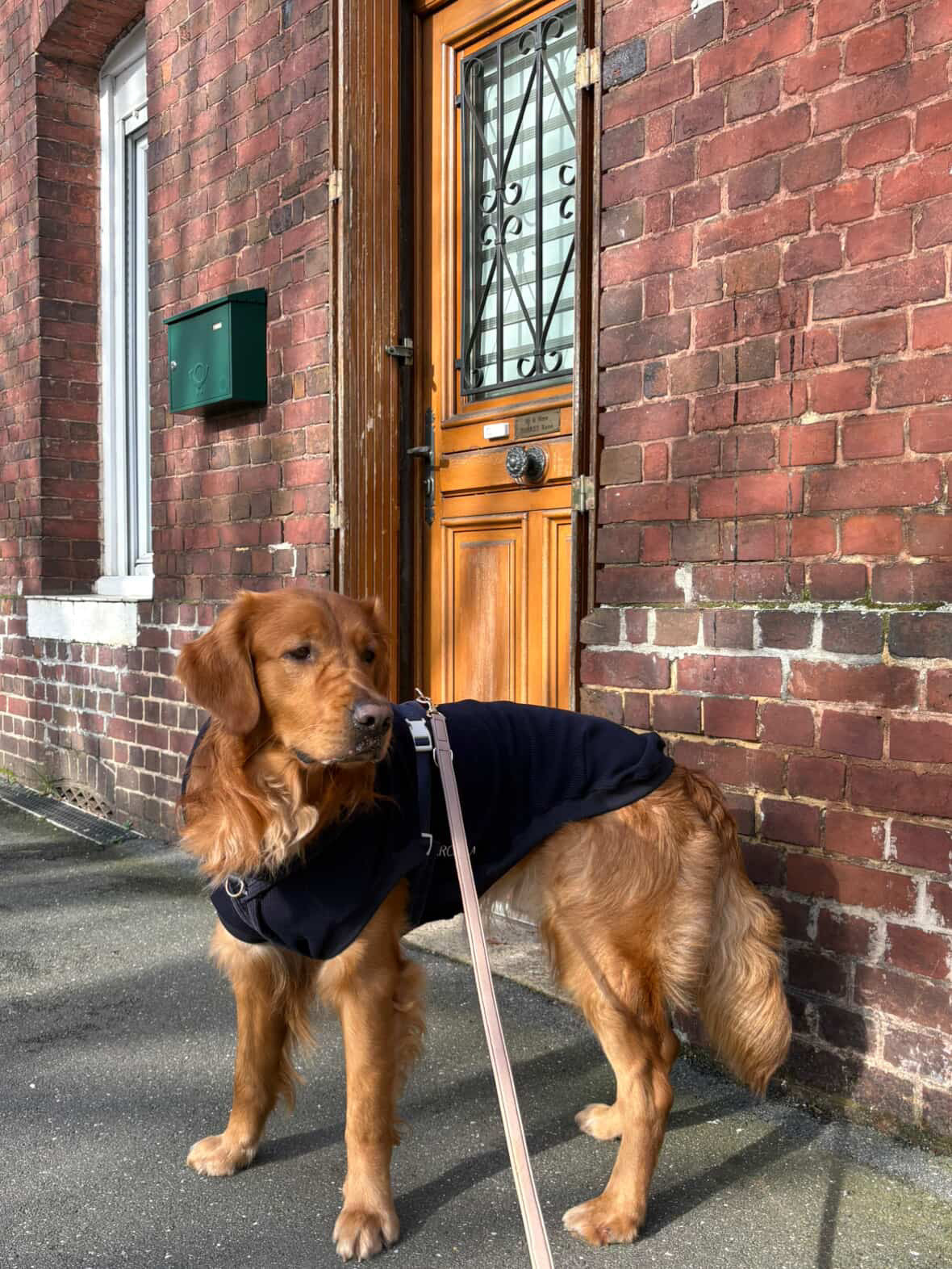 SWEAT | MAILLE TRICOTÉE MARINE