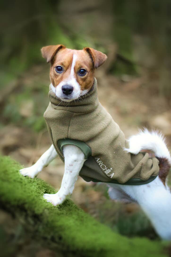 SWEAT | POLAIRE KAKI