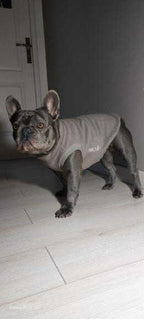 SWEAT GAMME BOULEDOGUE  & CARLIN | POLAIRE TAUPE