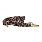 LAISSE | WILD