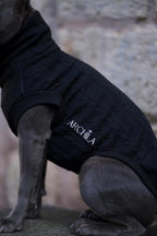 SWEAT GAMME PETITS CHIENS | EFFET PULL NOIR